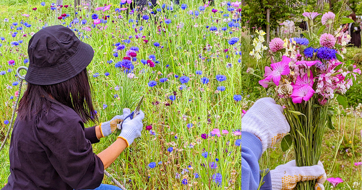 4月の花畑だより写真3