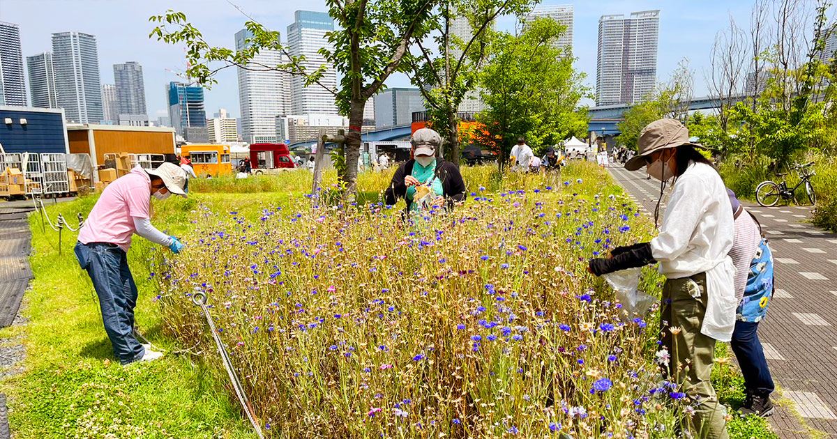 5月の花畑だより写真1