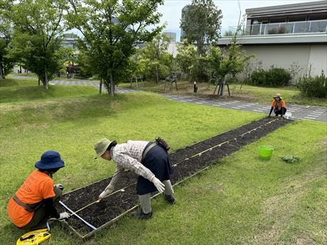 6~9月のお花畑