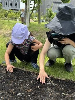 6~9月のお花畑
