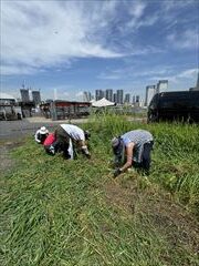 6~9月のお花畑
