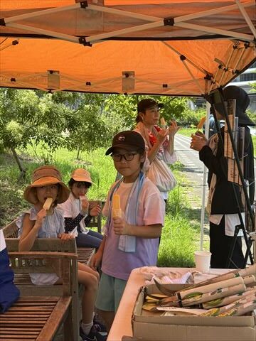 6~9月のお花畑