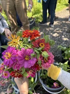 6~9月のお花畑