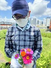 6~9月のお花畑