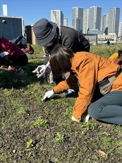 10~5月のお花畑