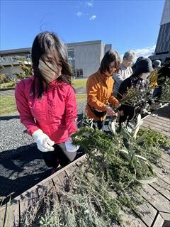 10~5月のお花畑