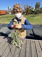 10~5月のお花畑