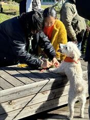 10~5月のお花畑