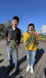 10~5月のお花畑