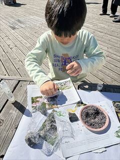 10~5月のお花畑