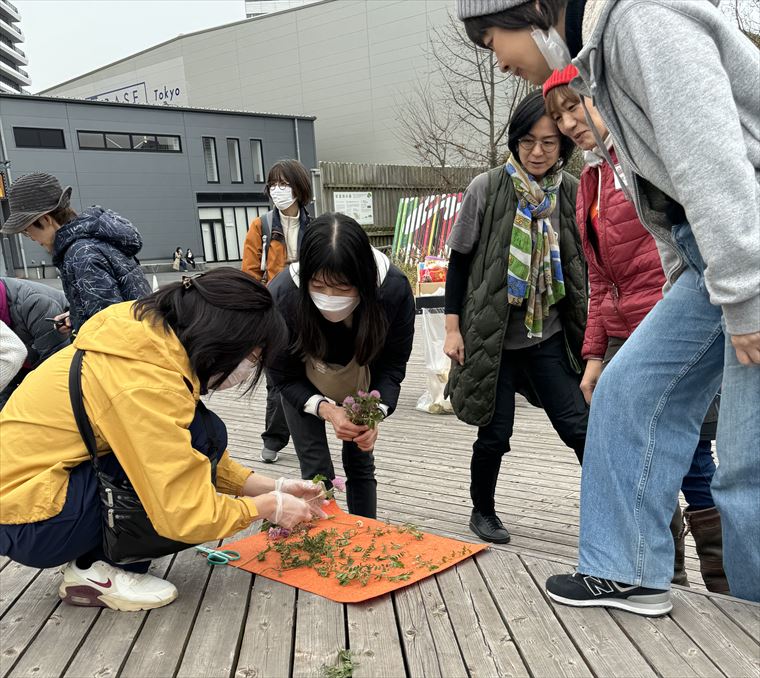 10~5月のお花畑