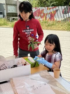 10~5月のお花畑