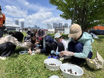 6月のお花畑