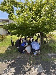 6月のお花畑