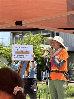 6月のお花畑
