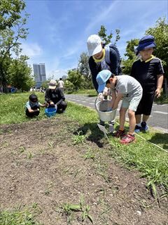 6月のお花畑