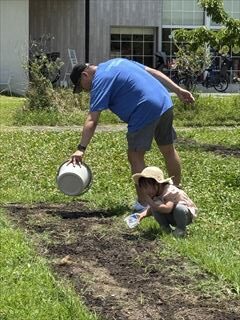 6月のお花畑