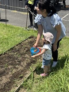 6月のお花畑