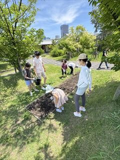 6月のお花畑