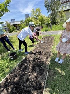 6月のお花畑