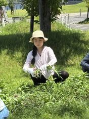 7月のお花畑