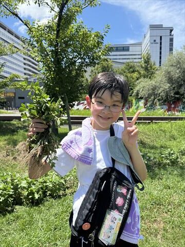 7月のお花畑