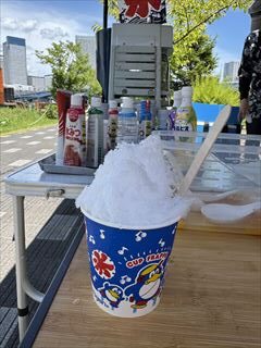 7月のお花畑