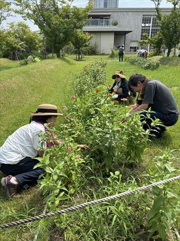 8月のお花畑