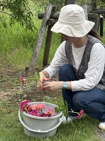 8月のお花畑