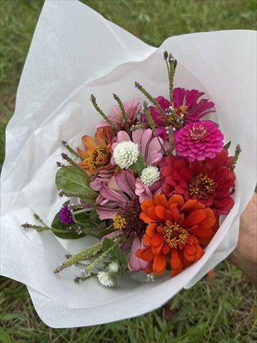 8月のお花畑