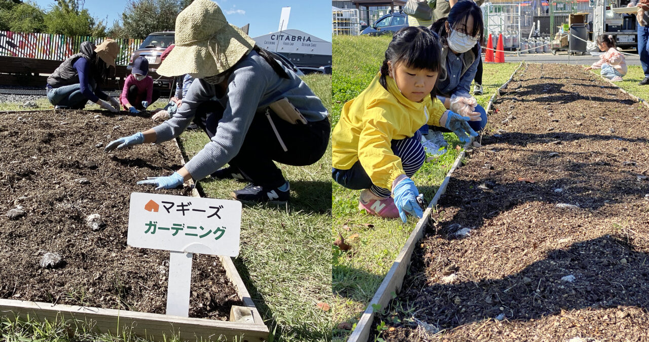 秋の花畑活動のご報告