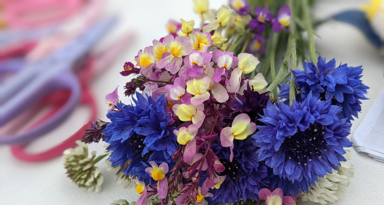 「花畑だより」3月の花畑活動ご報告