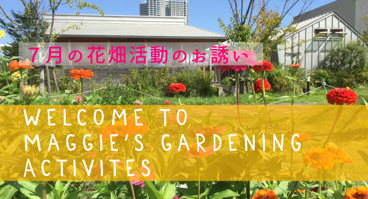 7月の花畑活動のお誘い