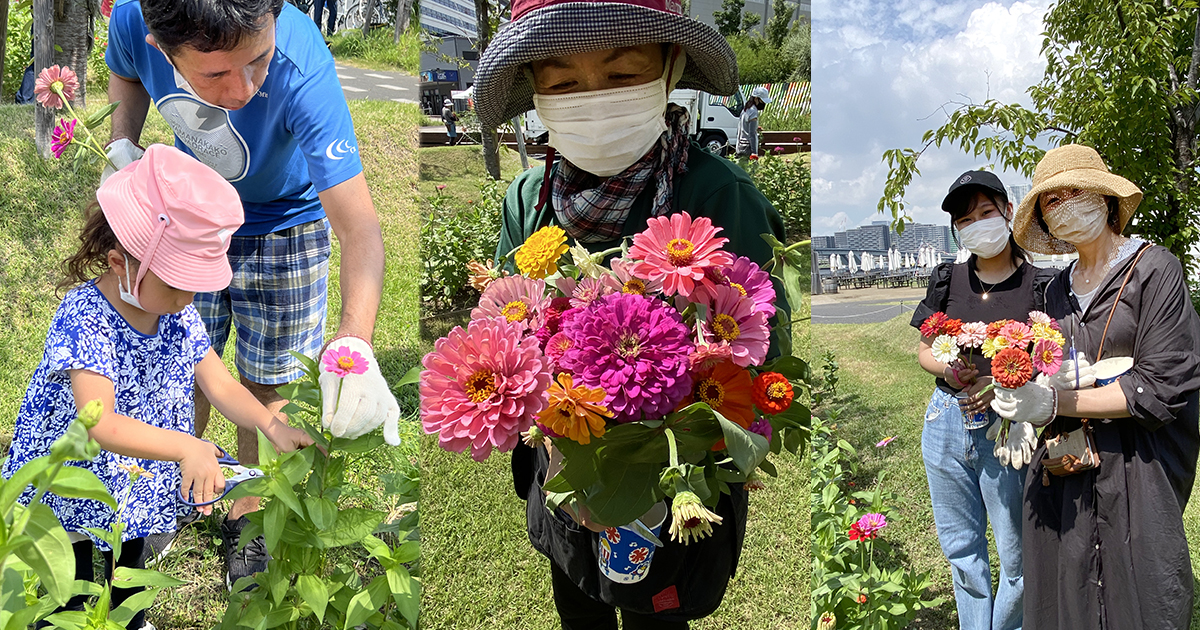 「花畑だより」2022年夏のご報告