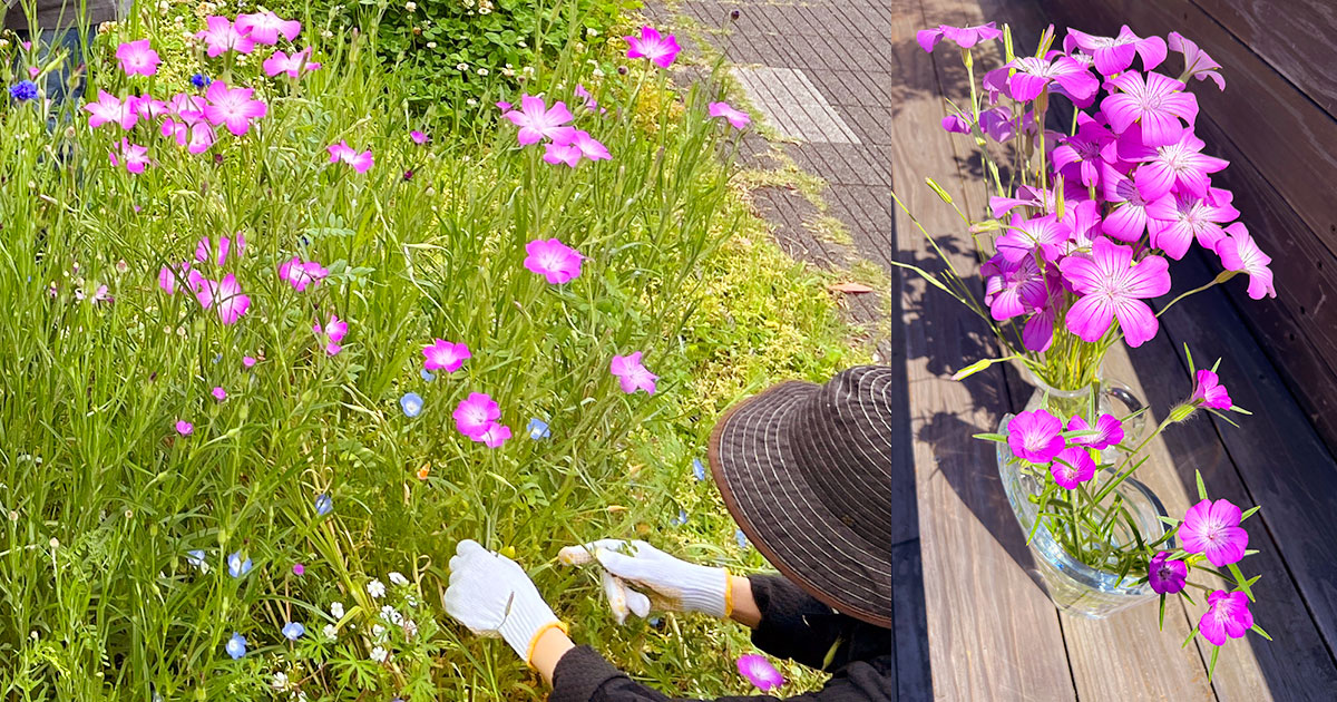 「花畑だより」2023年4月のご報告